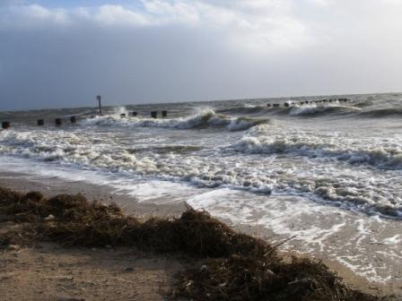 Roter Seestern Wyk auf Föhr Camera foto